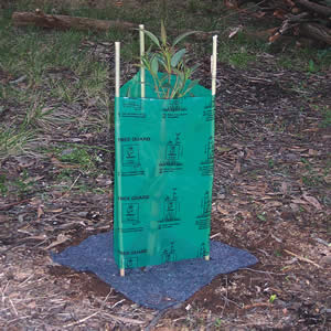 Aust Made GREEN 50 pieces Inc 50 Stakes and ties Tree and Plant Guards 