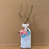 Climbing Rose Pierre De Ronsard Climbing Rose Pierre De Ronsard