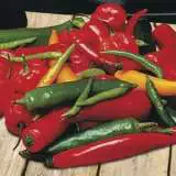 Chilli Shake Mix - Garden Express Australia