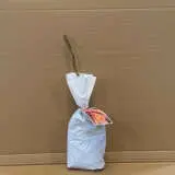 Rose Daybreaker Rose Daybreaker