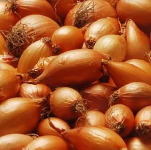 Golden Shallots