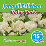 Flower Fest Value Pack – Jonquil Erlicheer