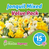 Jonquilmixed Value Pack Vpjonmxd - Garden Express Australia