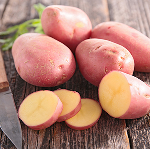 Certified Seed Potato Otway Red