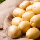 Potato Nadine Pkcspnad 2020 - Garden Express Australia