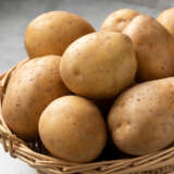 Certified Seed Potato Nicola