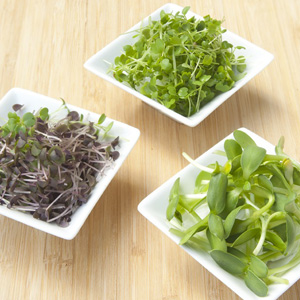 Microgreens Flavours Of The Mediterranean
