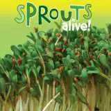 Sprouts Alive Alfalfa Seesalalf - Garden Express Australia