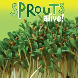 Sprouts Alive Alfalfa Sprouts Alive Alfalfa