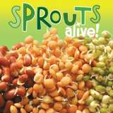 Sprouts Alive Mixed Salad Seesalmsa - Garden Express Australia