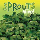 Sprouts Alive Mustard Seesalmus - Garden Express Australia