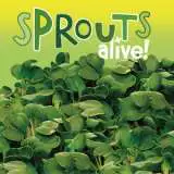 Sprouts Alive Mustard Seesalmus - Garden Express Australia