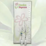 Crab Apple Ioensis Plena Crab Apple Ioensis Plena