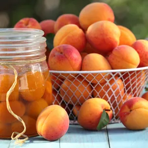 Dwarf Apricot Bulida