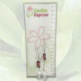 Magnolia Genie (pbr) Magnolia Genie (pbr)