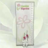 Magnolia Felix (pbr) Magnolia Felix (pbr)