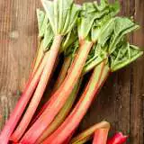 Rhubarb Giant Victoria Rhubarb Giant Victoria