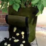 Spud Bag Accspubag - Garden Express Australia
