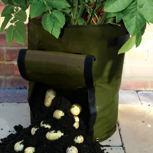 Potato Grow Bag -twin Pack Potato Grow Bag -twin Pack