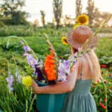 Gladioli Mixed 10pk Gladioli Mixed 10pk