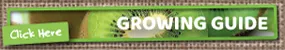 Growing Guide