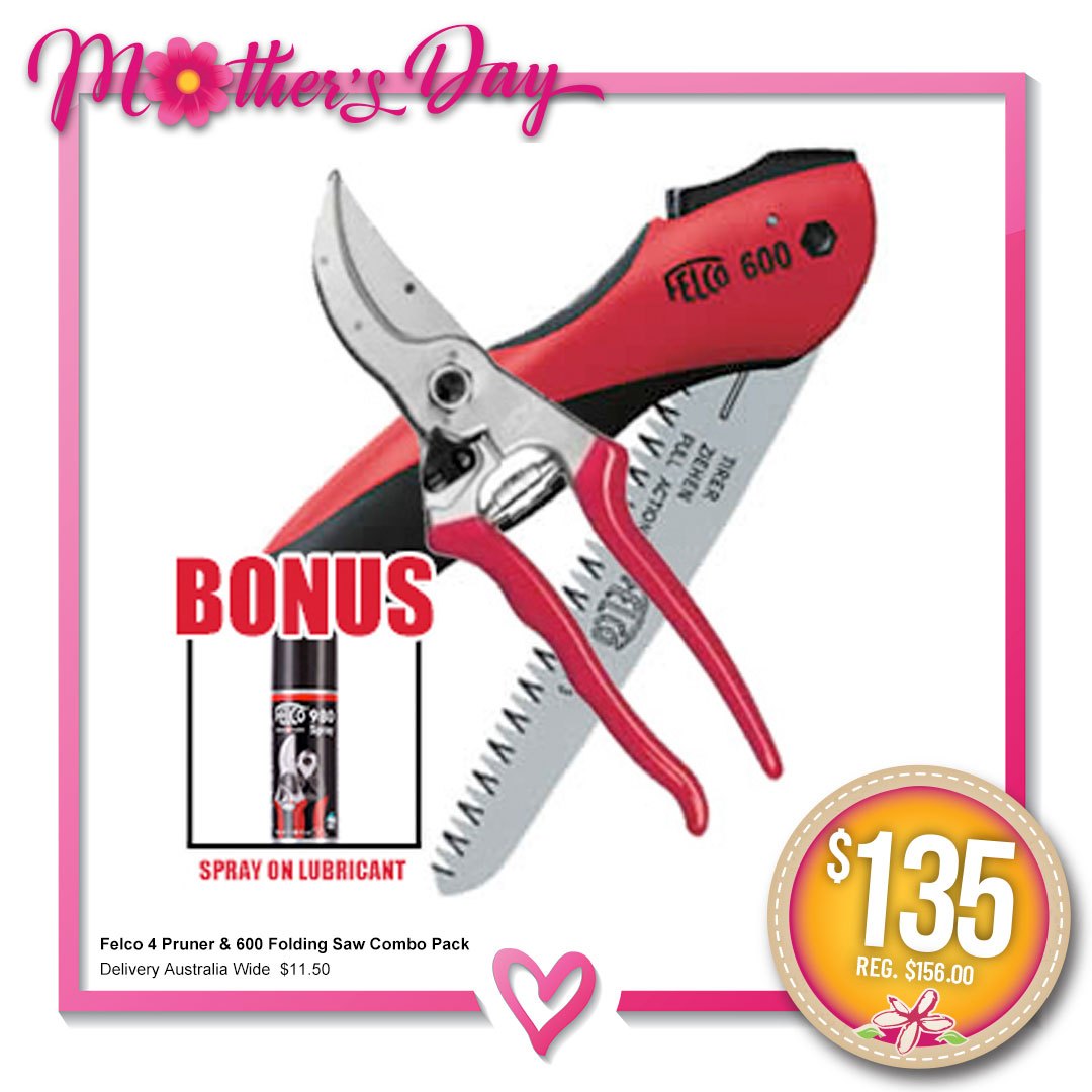 FELCO 4 PRUNER and 600 FOLDING SAW COMBO PACK Garden Express