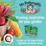 Mrfothergills Seeds - Garden Express Australia