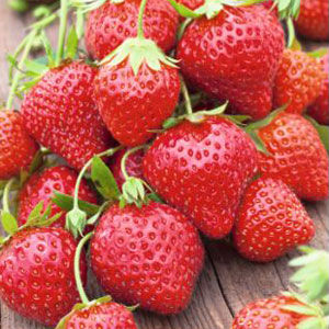 Strawberry Melba Pbr