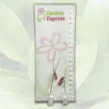 Magnolia Cleopatra (pbr) Magnolia Cleopatra (pbr)