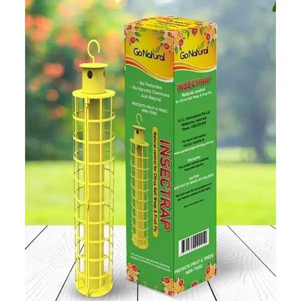 Insectrap Fruit Fly And Gall Wasp Trap