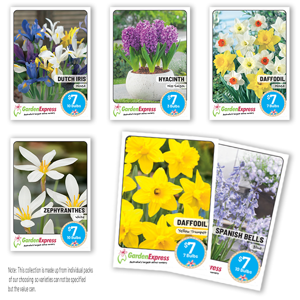 Flower Fest Last Chance 10 Assorted Spring Bulb Packs Garden Express