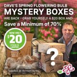 $20 Mysterybox 2026 Image - Garden Express Australia