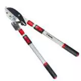 Darlac Telescopic Ratchet Loppers Accdartrl - Garden Express Australia