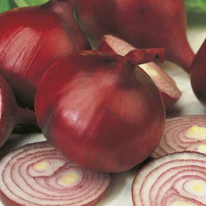 Seed – Onion Early Californian Red