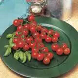 Tomato Sweet 100 Seetomshu - Garden Express Australia