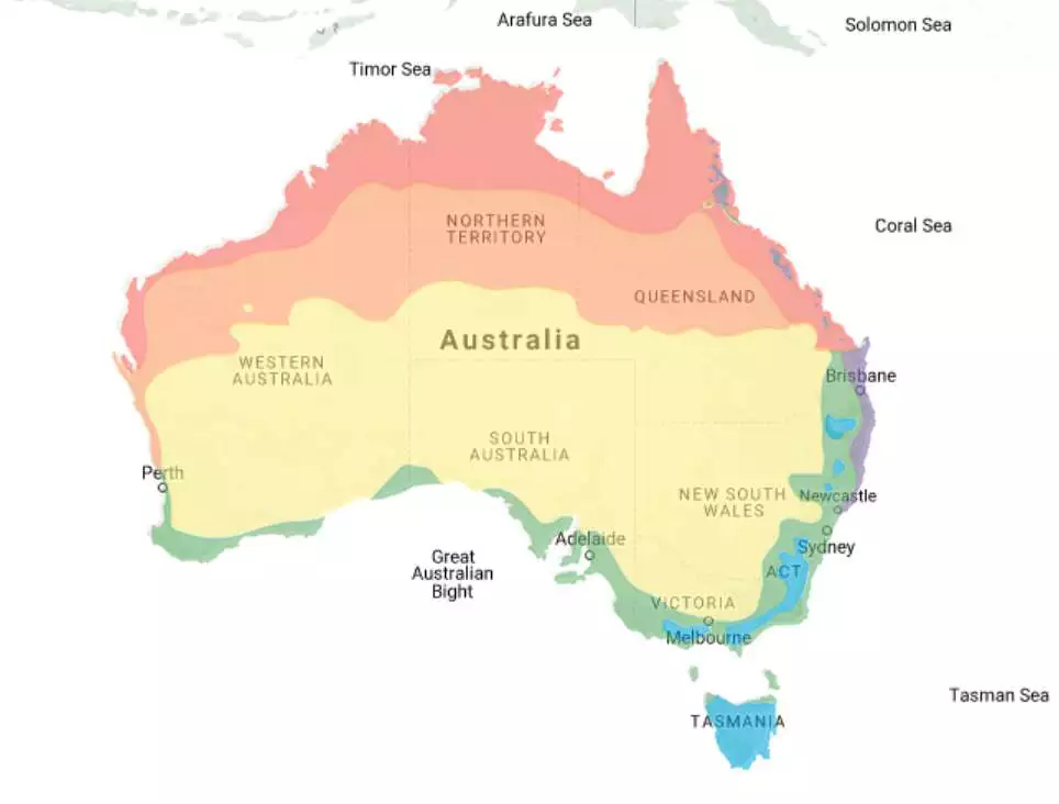 Hippeastrum Growing Guide Hippeastrum Growing Regions - Garden Express Australia