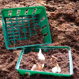 Tools For Planting Bulbs Square Bulb Baskets Gabassqr - Garden Express Australia