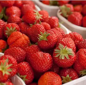 Strawberry Growing Guide
