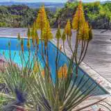 What To Plant In Summer What To Plant In Summer