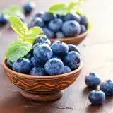 Blueberry Blue Rose 2019 Pplblubro - Garden Express Australia