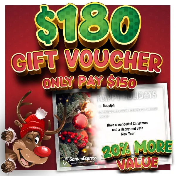 180 Dollar Garden Express Gift Voucher For 150 Dollars