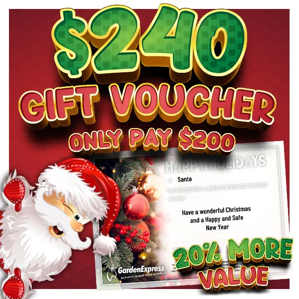 240 Dollar Garden Express Gift Voucher For 200 Dollars 240 Dollar Garden Express Gift Voucher For 200 Dollars
