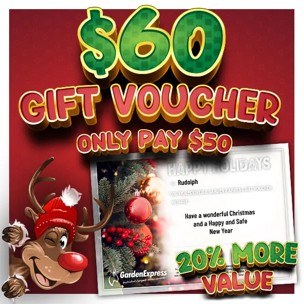 60 Dollar Garden Express Gift Voucher For 50 Dollars