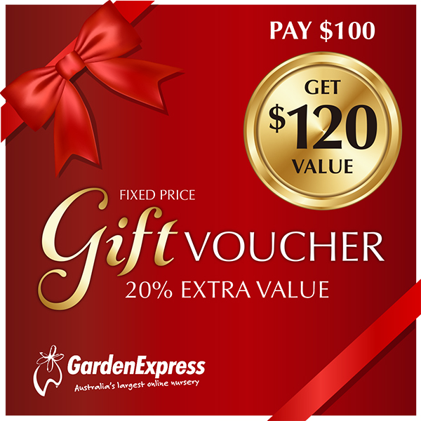 120 Dollar Garden Express Gift Voucher For 100 Dollars