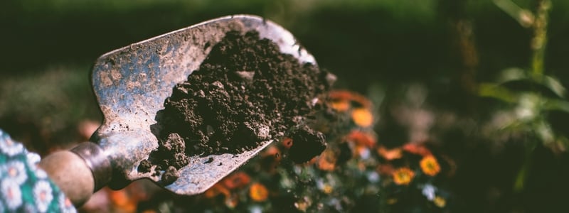Soil for Carbon Sequestration