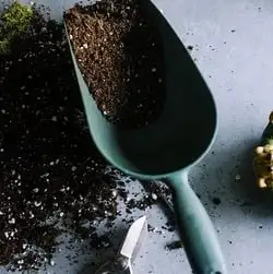 Webp Net Resizeimage 9 - Garden Express Australia