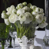 Ranunculi F1 – White Ranunculi F1 – White