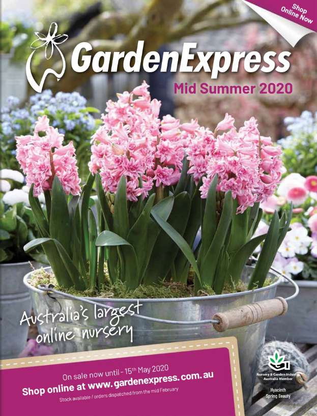 Current Catalogue Australia S Largest Online Nursery Garden