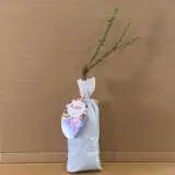 Rose Bright As A Button Rose Bright As A Button