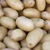 Potato White Star Pkcspwst 2020 - Garden Express Australia